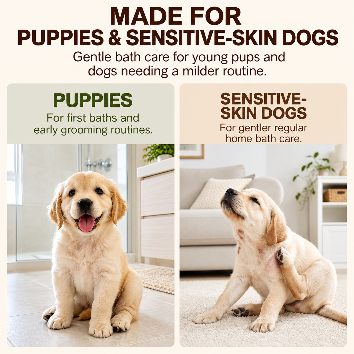 Oatmeal Shampoo for Dogs & Puppies with Sensitive Skin, 1 Gallon,asy Rinsing, Light Oatmeal Scent, Soft, Manageable Coat, with Jojoba Oil & Chamomile