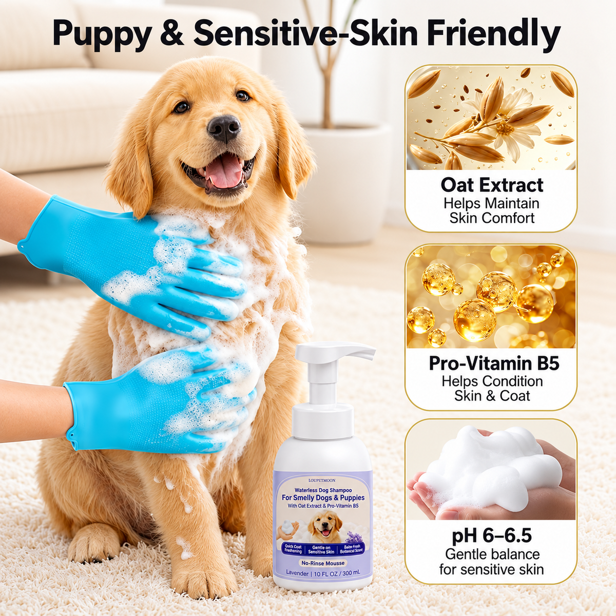 Waterless Dog Shampoo 2 x 10 FL OZ, Lavender No-Rinse Mousse with Gloves,Gentle on Sensitive Skin, Clean Between Bath, Quick Coat Freshening, Puppy Dry Shampoo for Smelly dog, Quick Deodorize