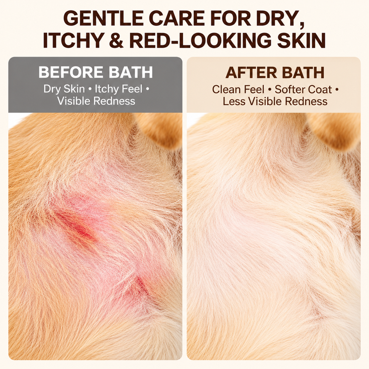 Oatmeal Shampoo for Dogs & Puppies with Sensitive Skin, 1 Gallon,asy Rinsing, Light Oatmeal Scent, Soft, Manageable Coat, with Jojoba Oil & Chamomile